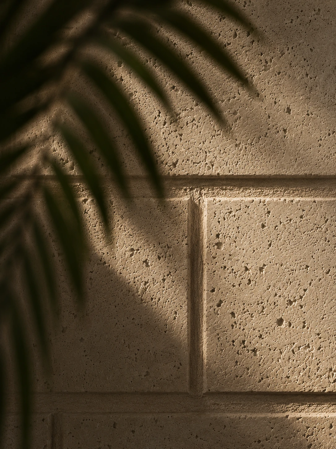 Muro de piedra coralina con sombra de palma